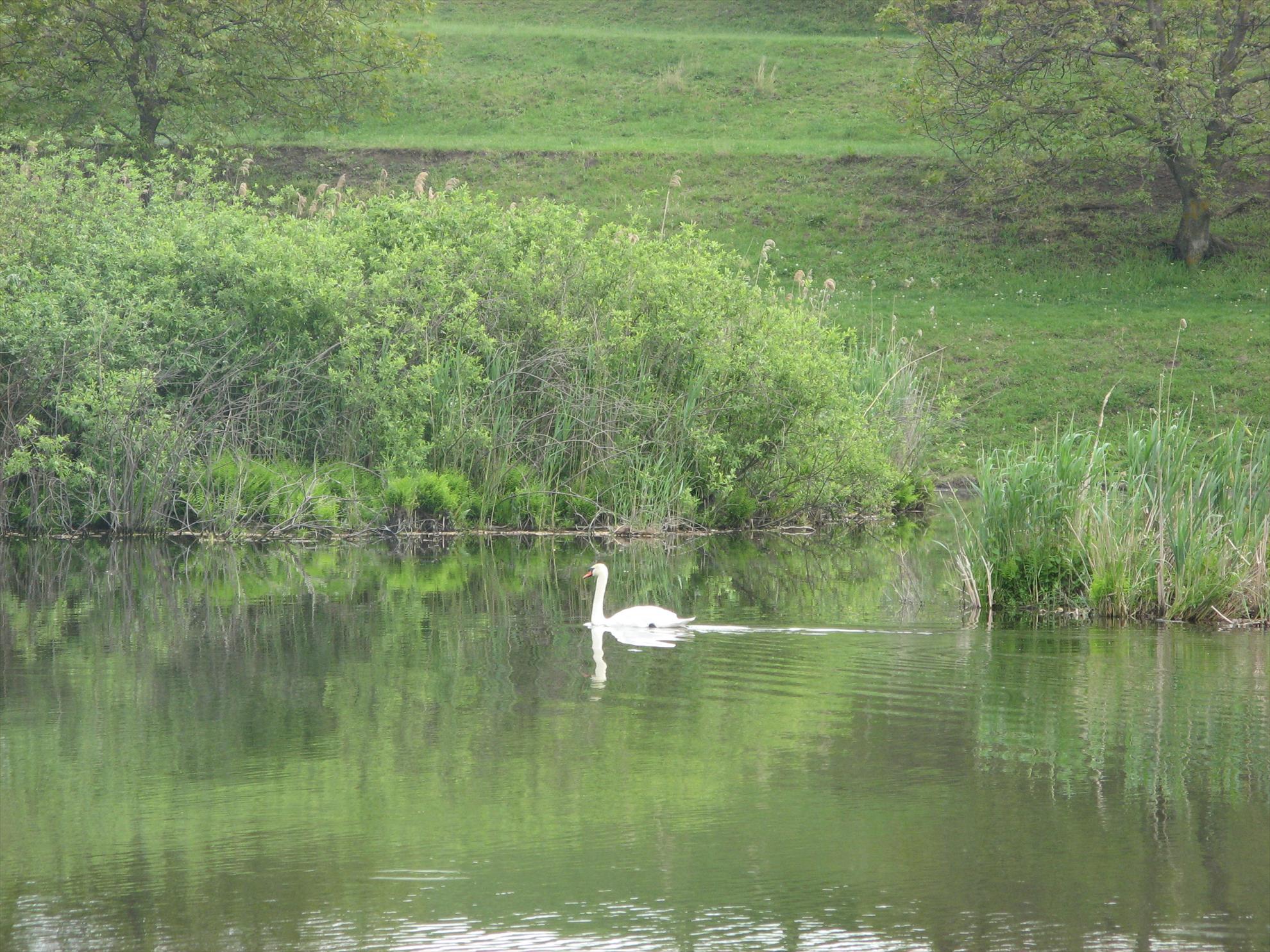 Green Lake - Chiroiu4 - img9919.JPG